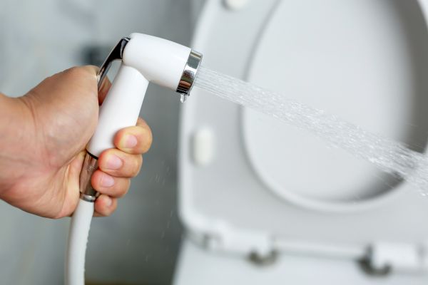 Bidet Installation in Redmond