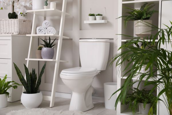 Cost of Toilet Repair in Redmond