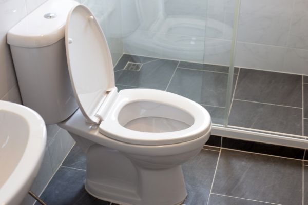Toilet Replacement in Redmond