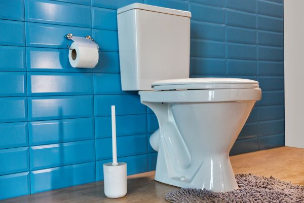 Toilet Tank Repair in Redmond