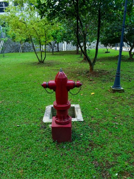 Ground Hydrant Installation in Redmond