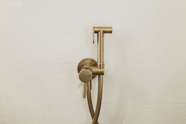 Bidet Plumbing in Redmond